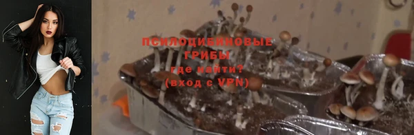 трава Каменка