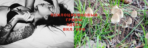 первитин Каменногорск