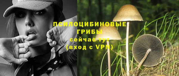 первитин Каменногорск