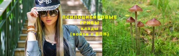 трава Каменка