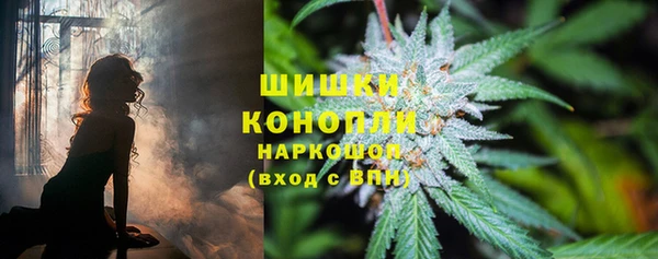 первитин Каменногорск