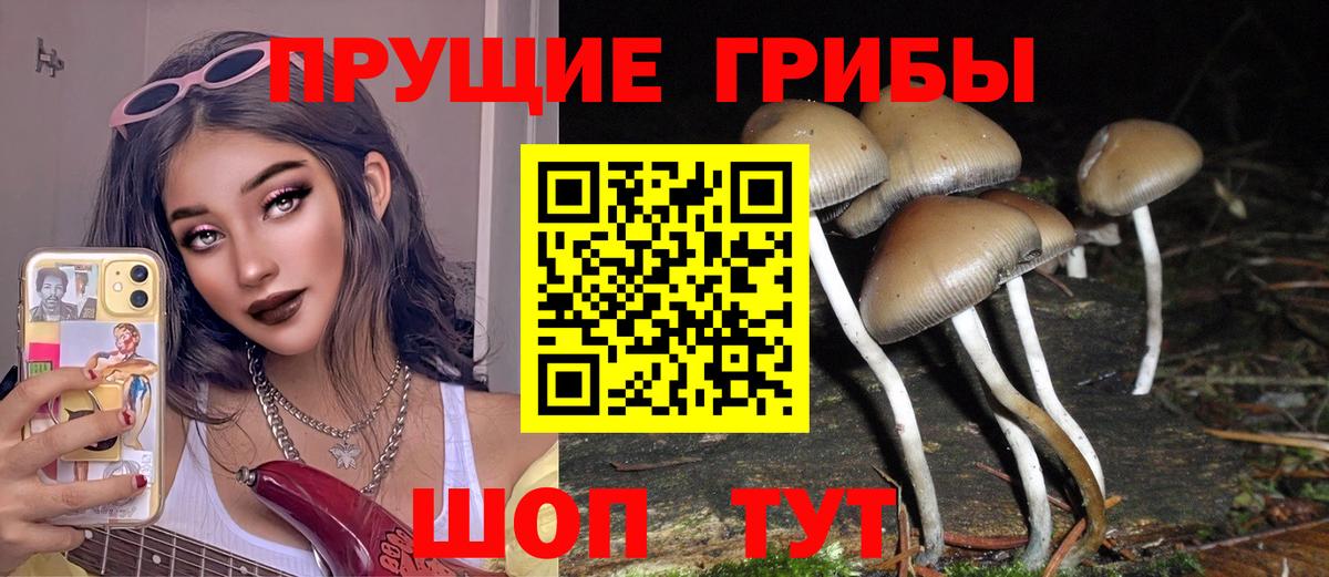 Галлюциногенные грибы Psilocybine cubensis  Галлюциногенные грибы мицелий  хочу   Балаково  Вход с VPN 